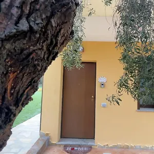Oleandri - Oleandro Bianco - , SantʼAnna Arresi Italia